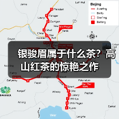银骏眉属于什么茶?高山红茶的惊艳之作(图4) 银骏眉属于什么茶?高山红茶的惊艳之作(图4)