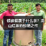 银骏眉属于什么茶?高山红茶的惊艳之作(图2) 银骏眉属于什么茶?高山红茶的惊艳之作(图2)