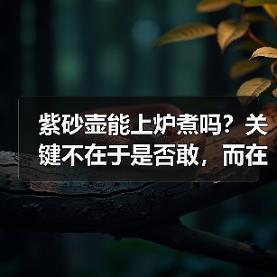 紫砂壶能上炉煮吗?关键不在于是否敢,而在于是否配(图4) 紫砂壶能上炉煮吗?关键不在于是否敢,而在于是否配(图4)