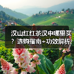 汉山红红茶汉中哪里买?选购指南+功效解析(图2) 汉山红红茶汉中哪里买?选购指南+功效解析(图2)