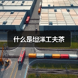 什么是坦洋工夫茶(图3) 什么是坦洋工夫茶(图3)