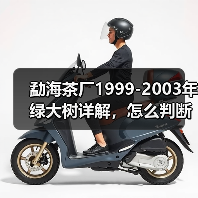 勐海茶厂1999-2003年绿大树详解,怎么判断绿大树具体年份?(图3) 勐海茶厂1999-2003年绿大树详解,怎么判断绿大树具体年份?(图3)