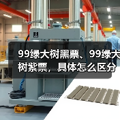 99绿大树黑票、99绿大树紫票，具体怎么区分？详细解析（图3）