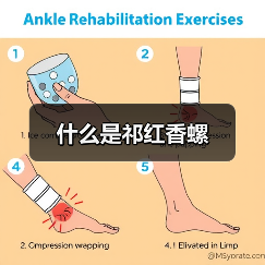 什么是祁红香螺(图1) 什么是祁红香螺(图1)