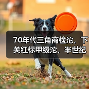 70年代三角商检沱,下关红标甲级沱,半世纪陈化成经典(图1) 70年代三角商检沱,下关红标甲级沱,半世纪陈化成经典(图1)