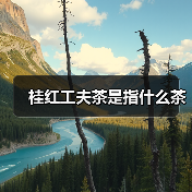 桂红工夫茶是指什么茶(图4) 桂红工夫茶是指什么茶(图4)