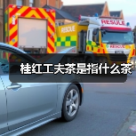 桂红工夫茶是指什么茶(图1) 桂红工夫茶是指什么茶(图1)
