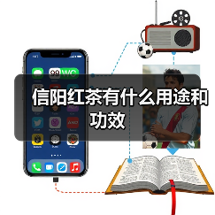 信阳红茶有什么用途和功效（图1）