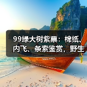 99绿大树紫票：棉纸、内飞、条索鉴赏，野生易武茶代表作品！（图4）