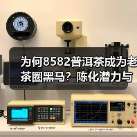 为何8582普洱茶成为老茶圈黑马?陈化潜力与独特特征解析(图4) 为何8582普洱茶成为老茶圈黑马?陈化潜力与独特特征解析(图4)