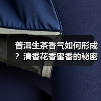 普洱生茶香气如何形成？清香花香蜜香的秘密解析（图2）
