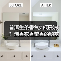 普洱生茶香气如何形成？清香花香蜜香的秘密解析（图3）