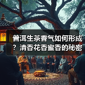 普洱生茶香气如何形成？清香花香蜜香的秘密解析（图4）