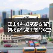 正山小种红茶怎么喝？揭秘香气与工艺的双重魅力（图2）
