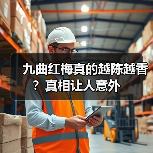 九曲红梅真的越陈越香?真相让人意外(图1) 九曲红梅真的越陈越香?真相让人意外(图1)
