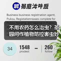不用农药怎么治虫?茶园间作植物防控害虫妙招(图4) 不用农药怎么治虫?茶园间作植物防控害虫妙招(图4)