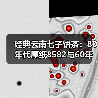 经典云南七子饼茶：80年代厚纸8582与60年代八中黄印哪个更胜一筹？（图4）