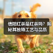 信阳红茶是红茶吗？揭秘其独特工艺与品质（图1）