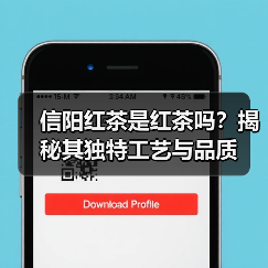 信阳红茶是红茶吗？揭秘其独特工艺与品质（图4）