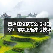 日照红梅茶怎么泡才正宗?详解正确冲泡技巧(图1) 日照红梅茶怎么泡才正宗?详解正确冲泡技巧(图1)