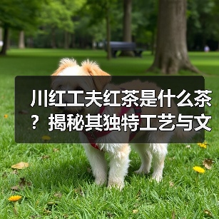 川红工夫红茶是什么茶？揭秘其独特工艺与文化魅力（图1）