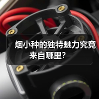 烟小种的独特魅力究竟来自哪里?(图2) 烟小种的独特魅力究竟来自哪里?(图2)