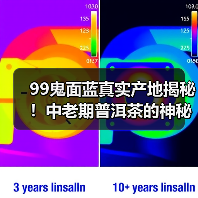 99鬼面蓝真实产地揭秘!中老期普洱茶的神秘身世与传奇口感(图4) 99鬼面蓝真实产地揭秘!中老期普洱茶的神秘身世与传奇口感(图4)