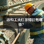政和工夫红茶特征有哪些?(图2) 政和工夫红茶特征有哪些?(图2)