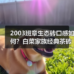 2003班章生态砖口感如何?白菜家族经典茶砖评测(图4) 2003班章生态砖口感如何?白菜家族经典茶砖评测(图4)
