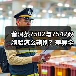 普洱茶7502与7542双胞胎怎么辨别?差异全解析(图4) 普洱茶7502与7542双胞胎怎么辨别?差异全解析(图4)