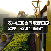 汉中红茶香气浓郁口感醇厚,值得品鉴吗?(图1) 汉中红茶香气浓郁口感醇厚,值得品鉴吗?(图1)