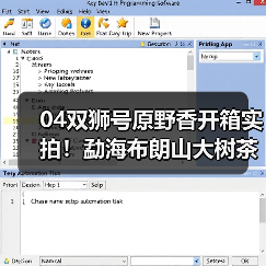 04双狮号原野香开箱实拍!勐海布朗山大树茶料烟香解析(图4) 04双狮号原野香开箱实拍!勐海布朗山大树茶料烟香解析(图4)