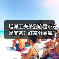 坦洋工夫茶到底是茶还是非茶?红茶分类品质解析(图4) 坦洋工夫茶到底是茶还是非茶?红茶分类品质解析(图4)