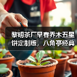 黎明茶厂早春乔木五星饼定制版,八角亭经典收藏价值解析(图4) 黎明茶厂早春乔木五星饼定制版,八角亭经典收藏价值解析(图4)