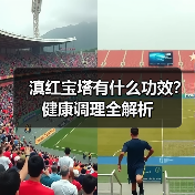 滇红宝塔有什么功效?健康调理全解析(图4) 滇红宝塔有什么功效?健康调理全解析(图4)