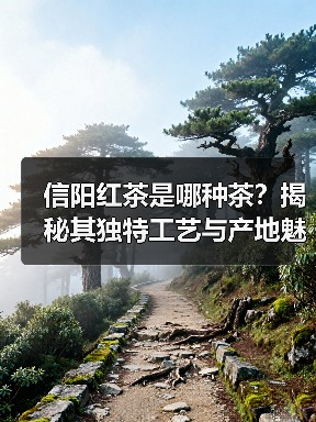 信阳红茶是哪种茶?揭秘其独特工艺与产地魅力(图3) 信阳红茶是哪种茶?揭秘其独特工艺与产地魅力(图3)