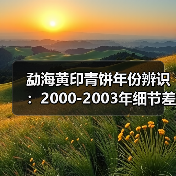 勐海黄印青饼年份辨识:2000-2003年细节差异解析(图1) 勐海黄印青饼年份辨识:2000-2003年细节差异解析(图1)