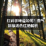 红碎茶味道如何？香气醇厚汤色红艳解析（图3）