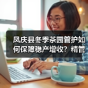 凤庆县冬季茶园管护如何保障稳产增收?精管细护见实效(图1) 凤庆县冬季茶园管护如何保障稳产增收?精管细护见实效(图1)