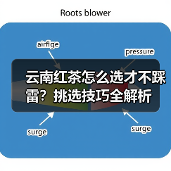 云南红茶怎么选才不踩雷?挑选技巧全解析(图1) 云南红茶怎么选才不踩雷?挑选技巧全解析(图1)