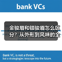 金骏眉和银骏眉怎么区分?从外形到风味的全方位对比(图2) 金骏眉和银骏眉怎么区分?从外形到风味的全方位对比(图2)