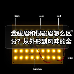 金骏眉和银骏眉怎么区分?从外形到风味的全方位对比(图4) 金骏眉和银骏眉怎么区分?从外形到风味的全方位对比(图4)
