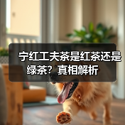 宁红工夫茶是红茶还是绿茶?真相解析(图3) 宁红工夫茶是红茶还是绿茶?真相解析(图3)