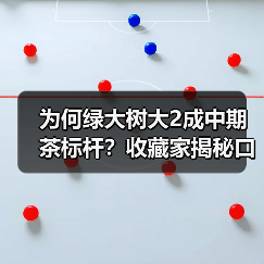 为何绿大树大2成中期茶标杆?收藏家揭秘口感秘诀(图2) 为何绿大树大2成中期茶标杆?收藏家揭秘口感秘诀(图2)