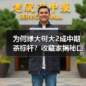 为何绿大树大2成中期茶标杆?收藏家揭秘口感秘诀(图3) 为何绿大树大2成中期茶标杆?收藏家揭秘口感秘诀(图3)