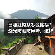 日照红梅茶怎么储存?避光防潮防异味,这样保存更久(图3) 日照红梅茶怎么储存?避光防潮防异味,这样保存更久(图3)