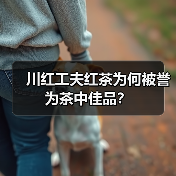 川红工夫红茶为何被誉为茶中佳品？（图1）