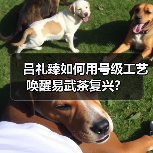 吕礼臻如何用号级工艺唤醒易武茶复兴？（图2）