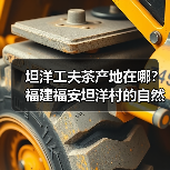 坦洋工夫茶产地在哪？福建福安坦洋村的自然环境揭秘（图4）