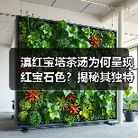 滇红宝塔茶汤为何呈现红宝石色?揭秘其独特魅力(图4) 滇红宝塔茶汤为何呈现红宝石色?揭秘其独特魅力(图4)